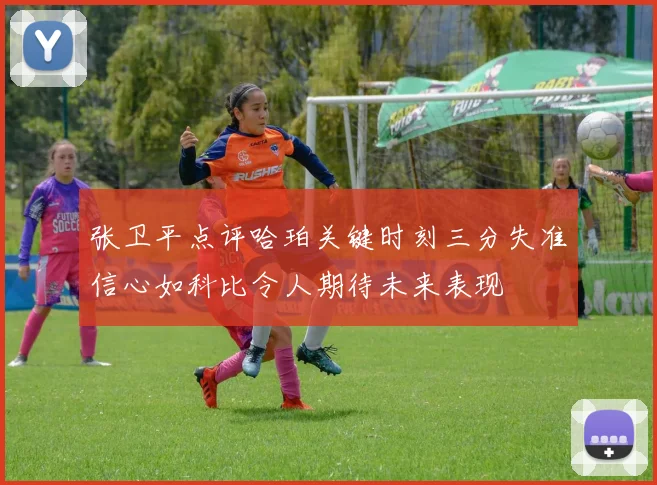 张卫平点评哈珀关键时刻三分失准信心如科比令人期待未来表现