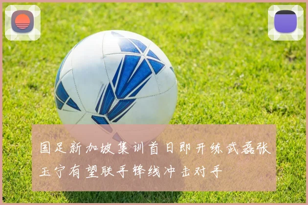 国足新加坡集训首日即开练武磊张玉宁有望联手锋线冲击对手