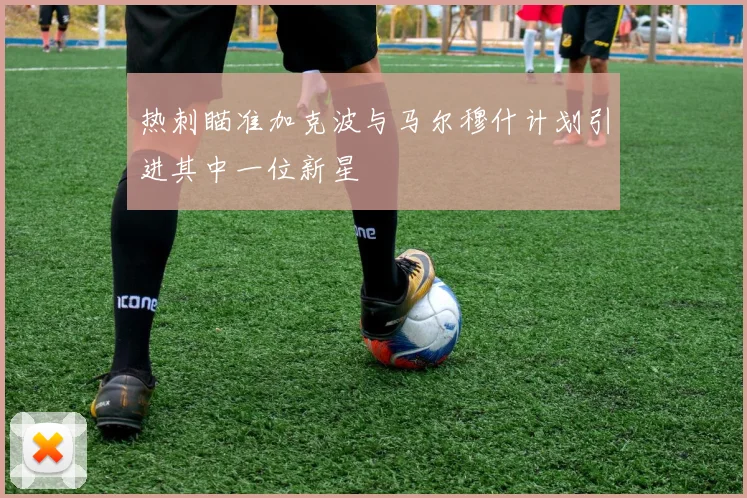 热刺瞄准加克波与马尔穆什计划引进其中一位新星