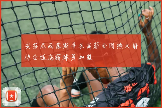 安芬尼西蒙斯寻求高薪合同热火静待合适底薪球员加盟